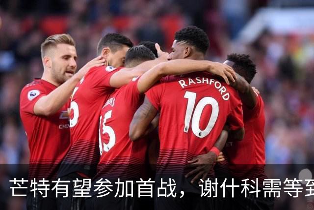 芒特有望参加首战，谢什科需等到第二轮复出